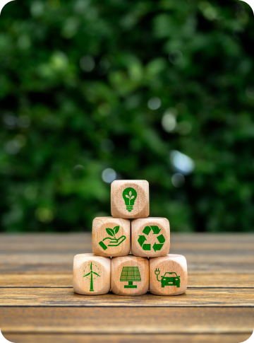 sustainable supply chain