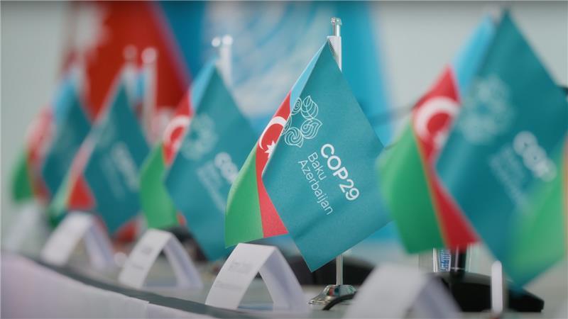 United Nations Climate Change Conference (UNFCCC COP 29)