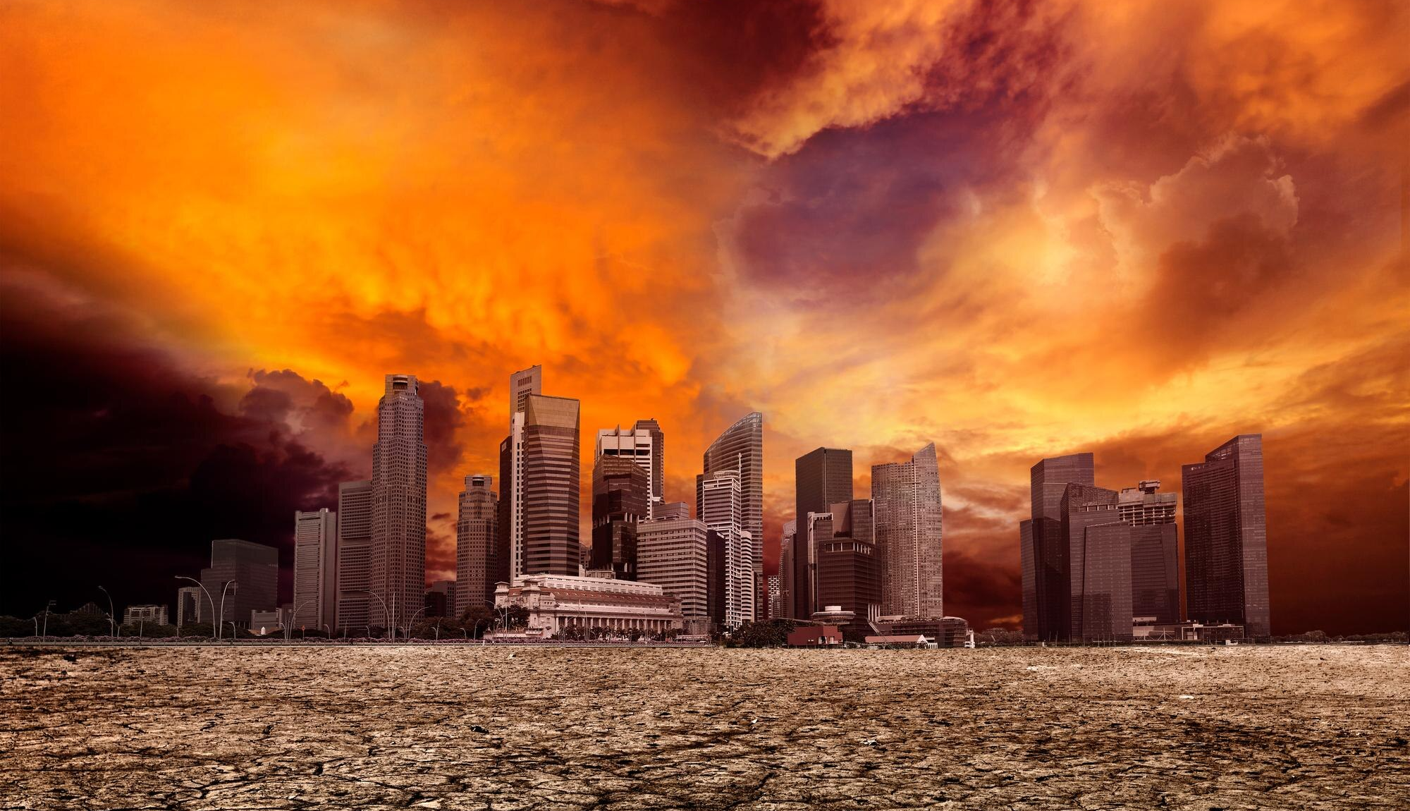 Warmest Year in History Image