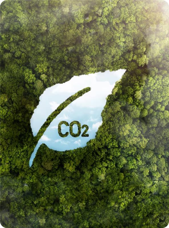 CO2 Emission