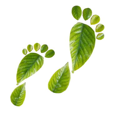 footprints
